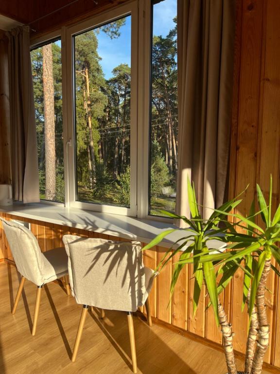 Park Apartments - Housity
