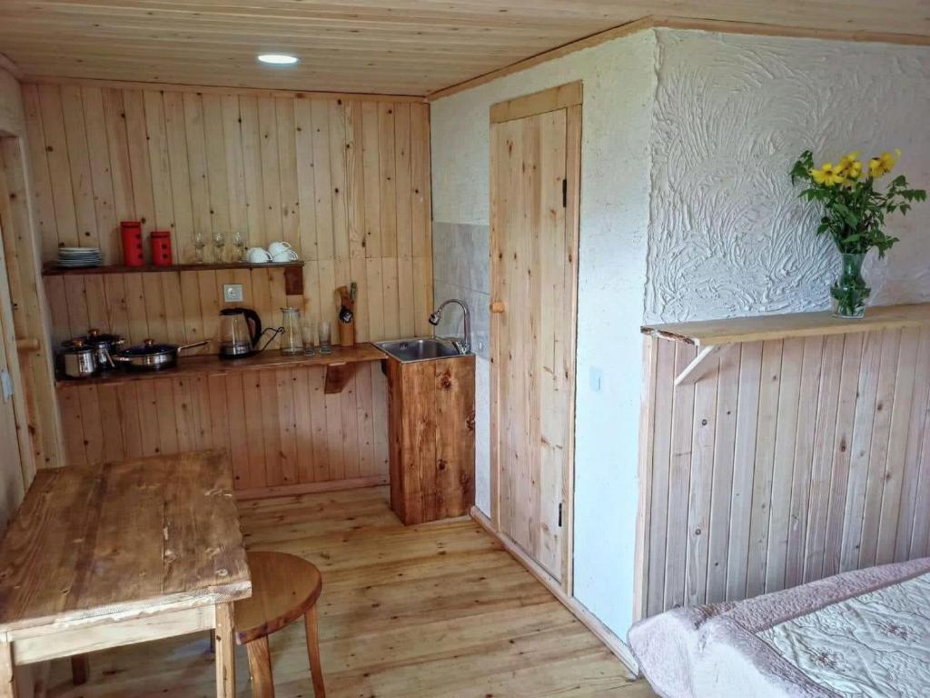 Kuchyň nebo kuchyňský kout v ubytování House In The Mountains-Heshkili
