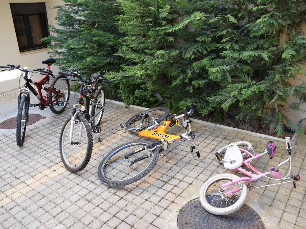 Jazda na bicykli v okolí ubytovania Villa Carlos
