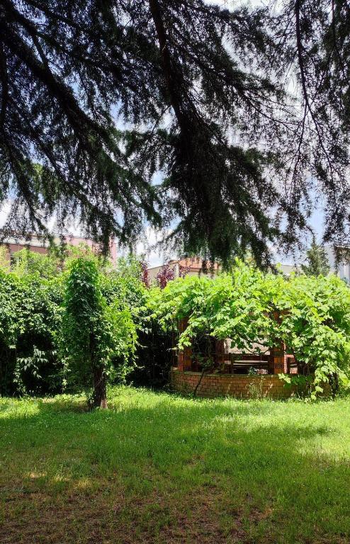 a park with a tree and some bushes and a building at Central Apartment with Garden in Skopje