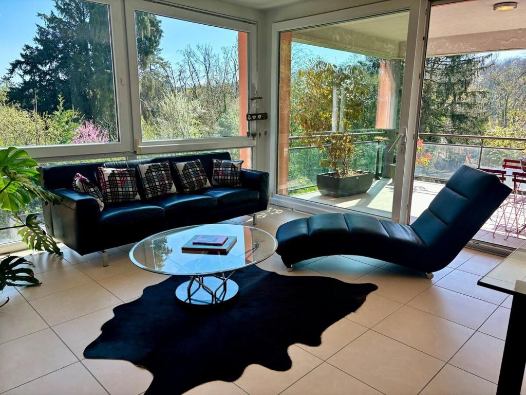- un salon avec un canapé noir et une table en verre dans l'établissement Spacieux appartement de deux chambres, à Mulhouse