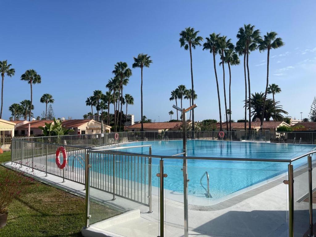 a swimming pool at a resort with palm trees at Santa Fe 7 Switte 2 in Maspalomas