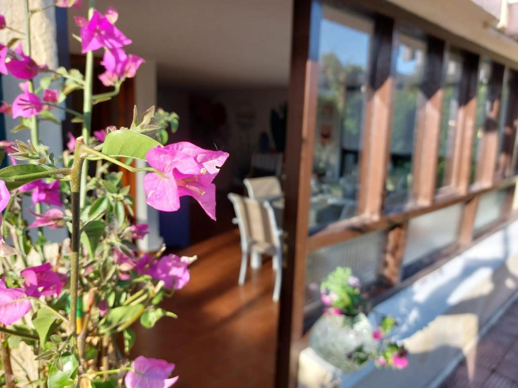 a room with purple flowers on a balcony at Vida Boa in El Dueso