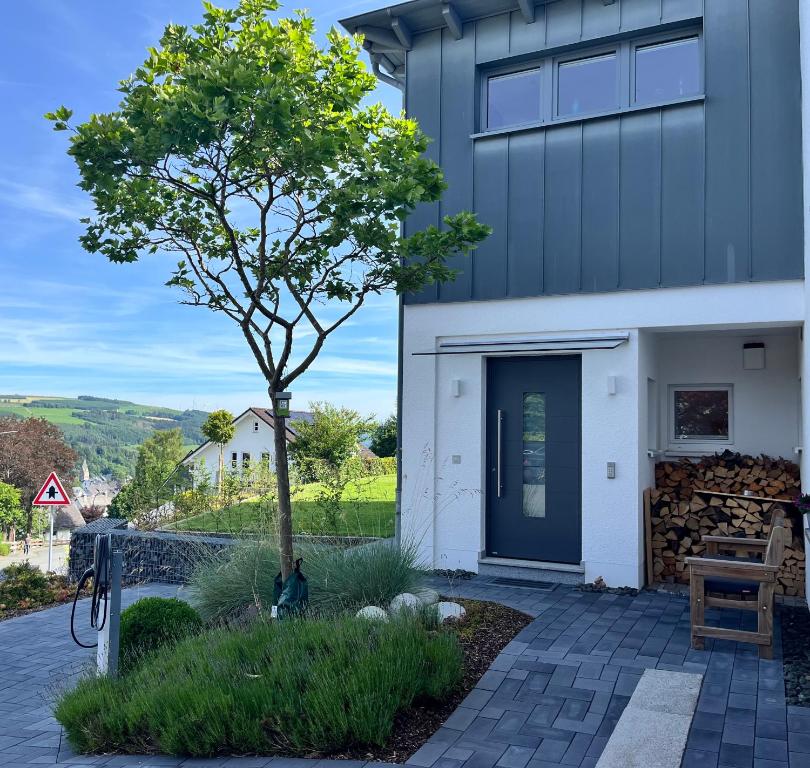 a house with a tree on the side of it at 17 AM BERG in Winterberg