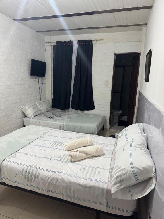 Acogedor Aparta Estudio Central Interior 101