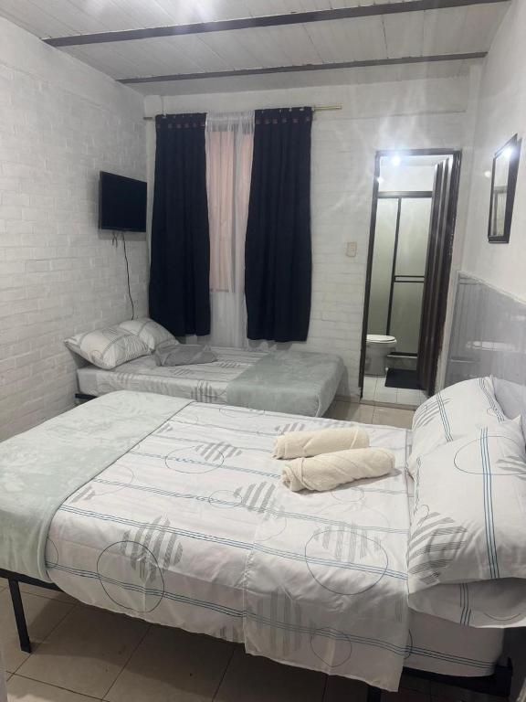 Acogedor Aparta Estudio Central Interior 101