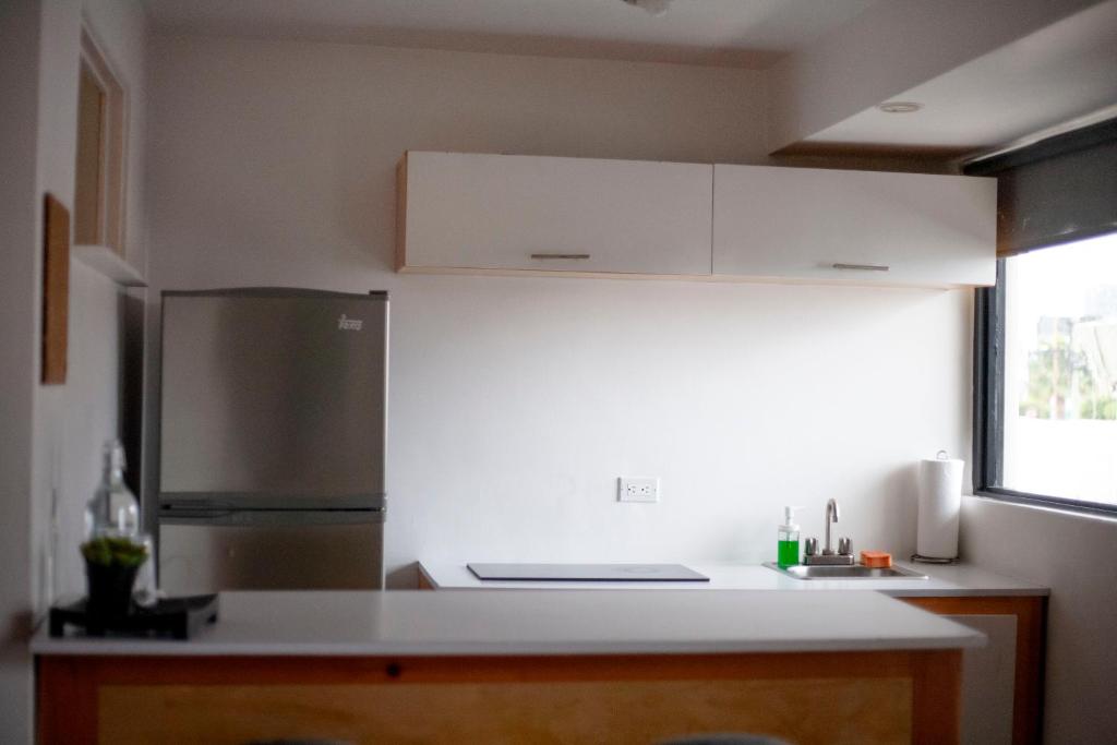 Kuchyň nebo kuchyňský kout v ubytování Coyote Lofts-Estacion Federal