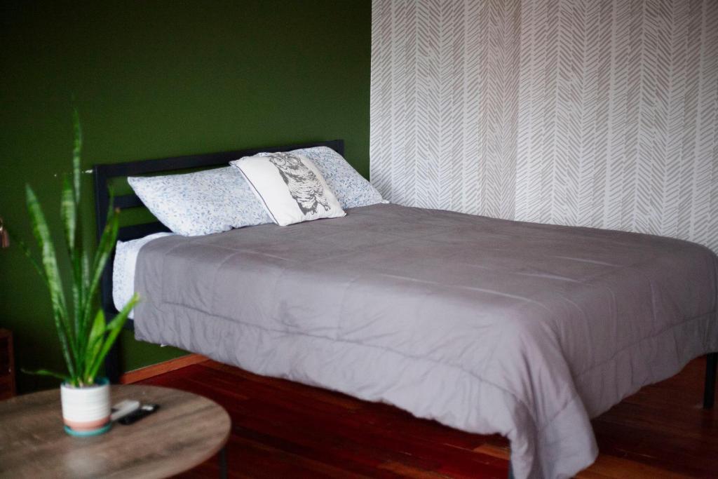 Postel nebo postele na pokoji v ubytování Coyote Lofts-Estacion Federal
