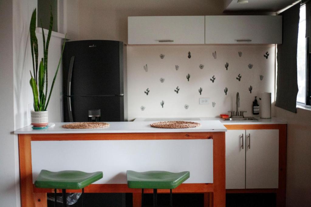Kuchyň nebo kuchyňský kout v ubytování Coyote Lofts-Estacion Federal
