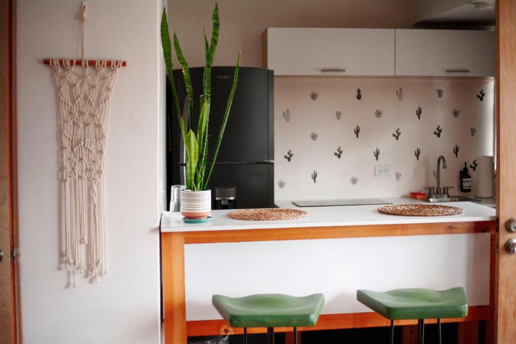 Kuchyň nebo kuchyňský kout v ubytování Coyote Lofts-Estacion Federal