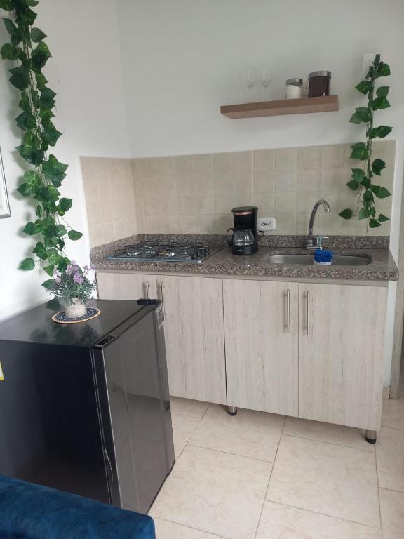 Kuchyň nebo kuchyňský kout v ubytování Apartaestudio astromelias A