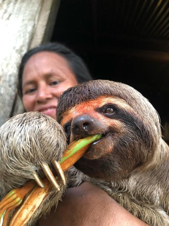 Amazon Jungle lodge -Experencia Indigena Yagua