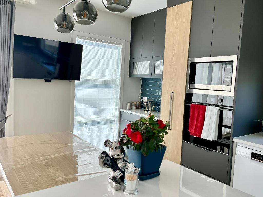 Brand new Lakeside cozy room Hoiho - Resim 14