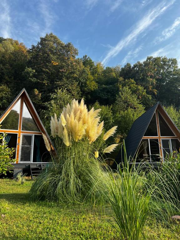 Garður fyrir utan Cabane A-Frame Svinița