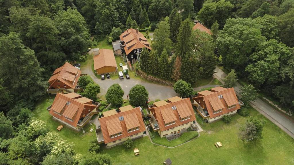 an aerial view of a house with a yard at Ferienwohnung Ferienhäuser am Brocken, 80 qm 3 Schlafzimmer in Ilsenburg