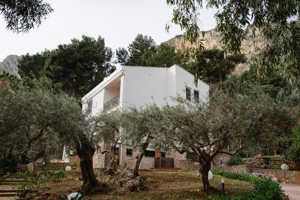 a white house on a hill with olive trees at Villa Rubino - Camere in Palermo