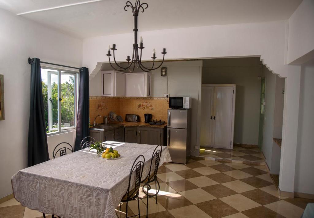 Kuchyň nebo kuchyňský kout v ubytování Le Dodo Appartements