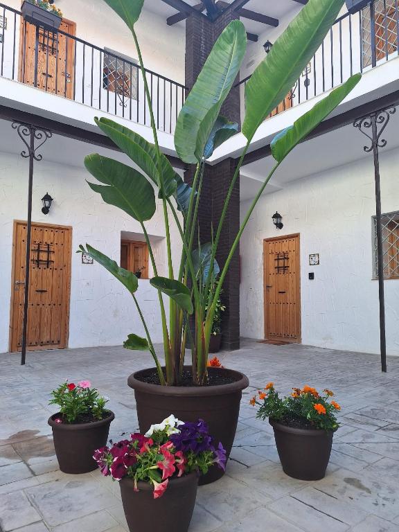 Fotografia z galérie ubytovania Suite San Mateos 15 v destinácii Jerez de la Frontera