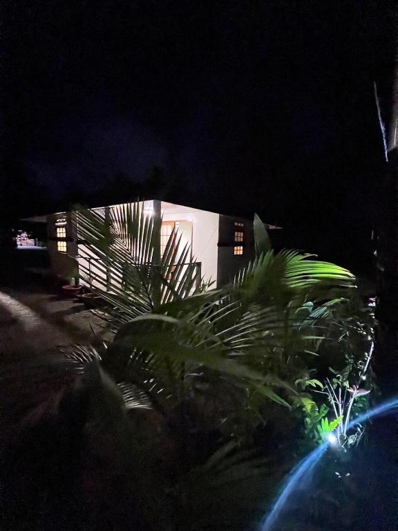 Fotografie z fotogalerie ubytování Rangiroa Guest Paradise v Avatoru