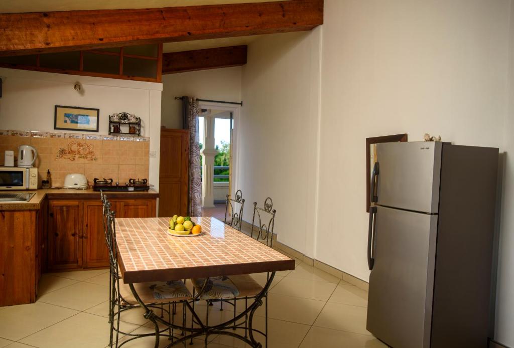Kuchyň nebo kuchyňský kout v ubytování Le Dodo Appartements