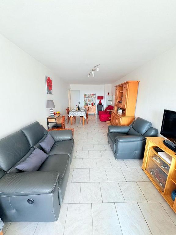 un salon avec un canapé et une télévision dans l'établissement Joli T2, classé 3 étoiles, climatisé vue mer, parking, à Sète