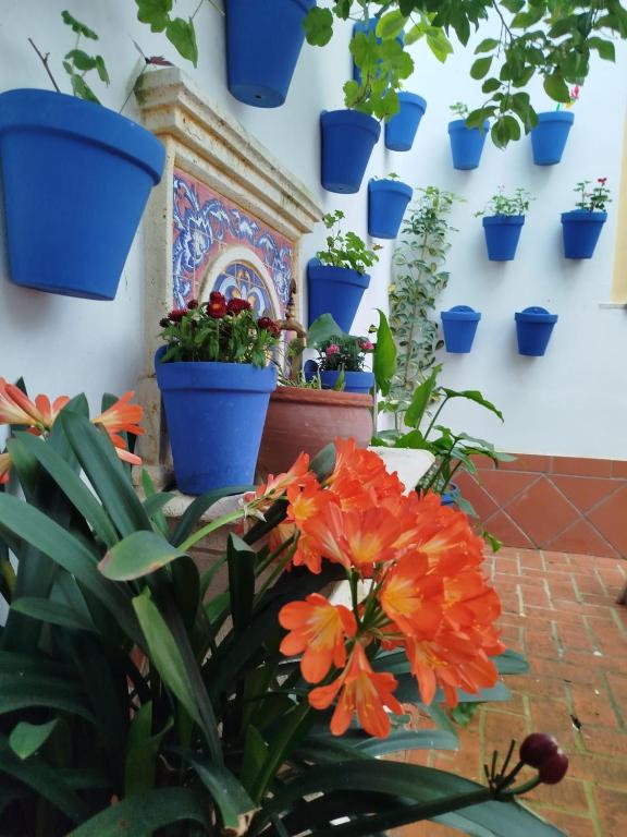 Hotel La Ribera - Resim 1