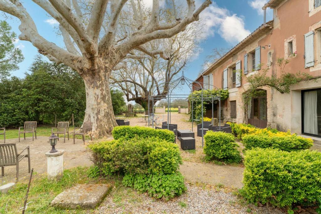 a park with a tree and chairs and a building at Le Mas Saint Pierre in Cabannes