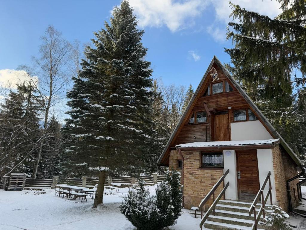 a cabin in the snow with a pine tree at Bacówka w Karkonoszach - Domek na wyłączność w Karpaczu blisko wyciągu i szlaków in Karpacz