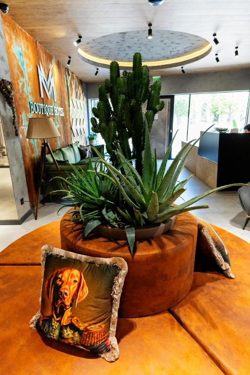 a table with a dog pillow and a plant at MM Boutique Hotel in Burgas