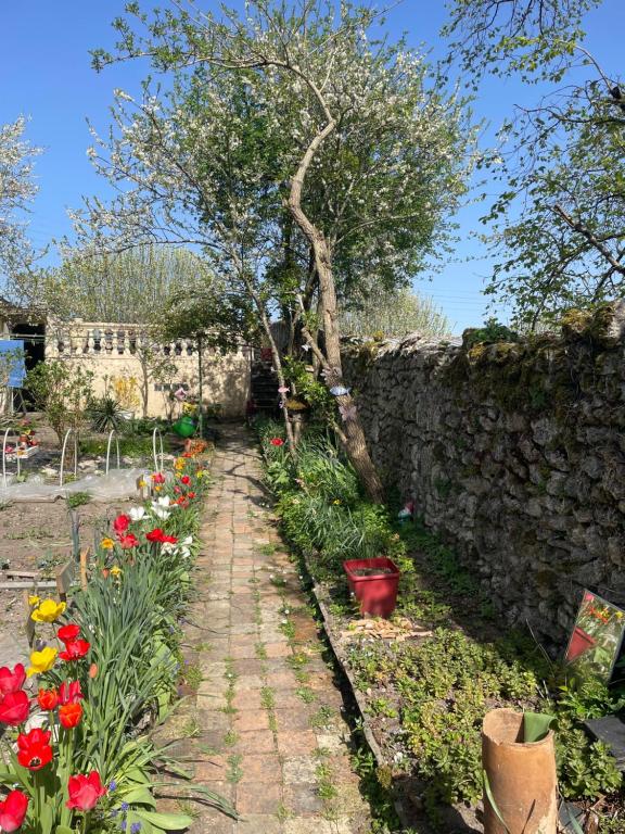 Zahrada ubytování B&B chez Sylvain