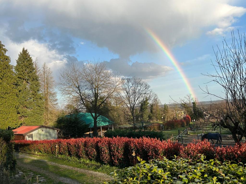 Ogród w obiekcie Bilocale in the Farm- Malpensa-Lago Maggiore