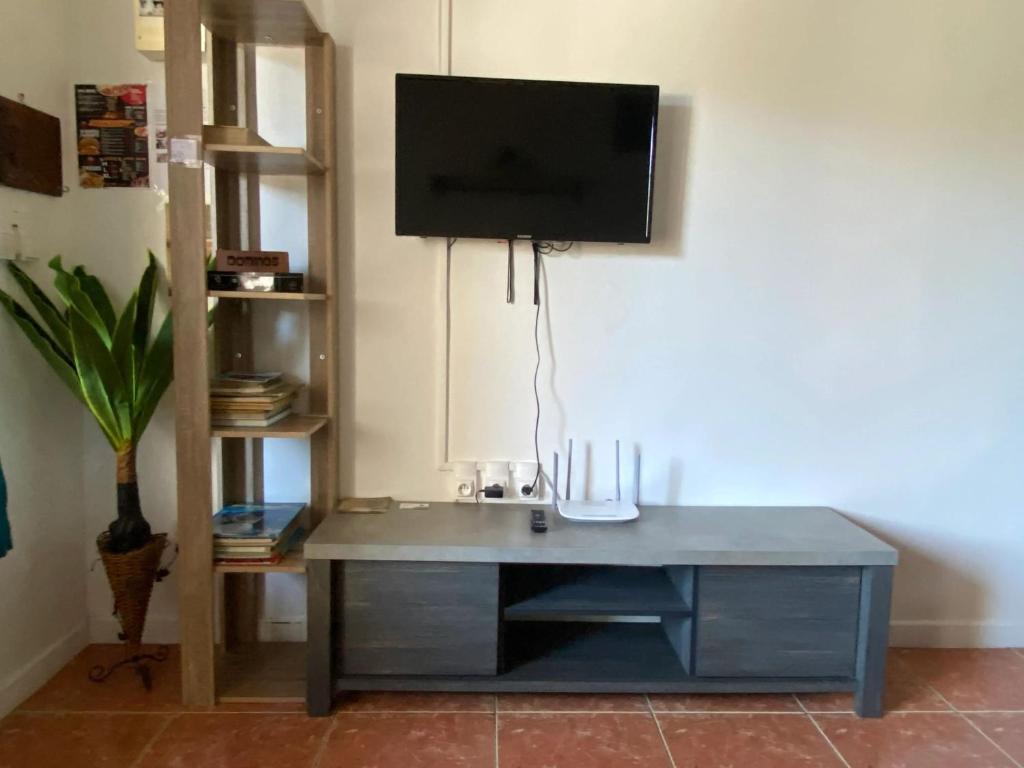 TV a/nebo společenská místnost v ubytování Appartement cosy à Saint-Joseph - 44 m² avec terrasse