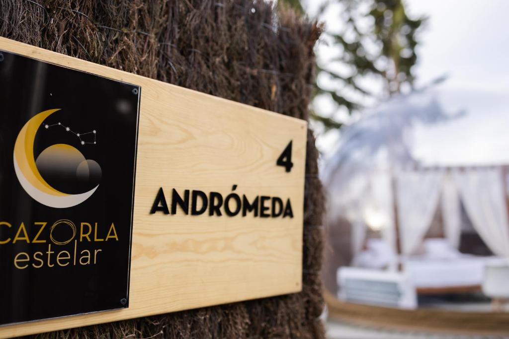 Cazorla Estelar - 17