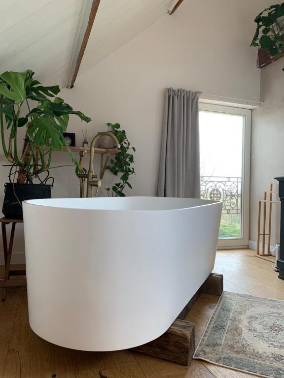 Fotografie z fotogalerie ubytování B&B De Vrijbuiter v destinaci De Cocksdorp
