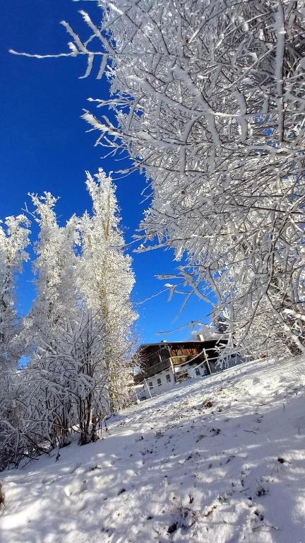 Berg-Panorama-Ferienwohnungen Gut-Lichtenau v zimě