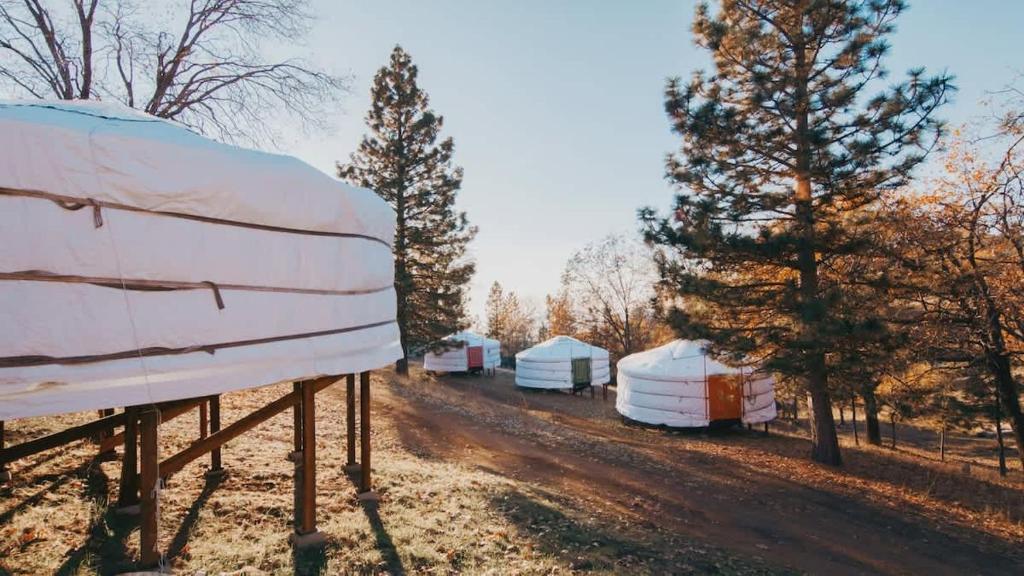 Fotografie z fotogalerie ubytování Glamping yurt at nature retreat in Sequoia NForest v destinaci Miramonte