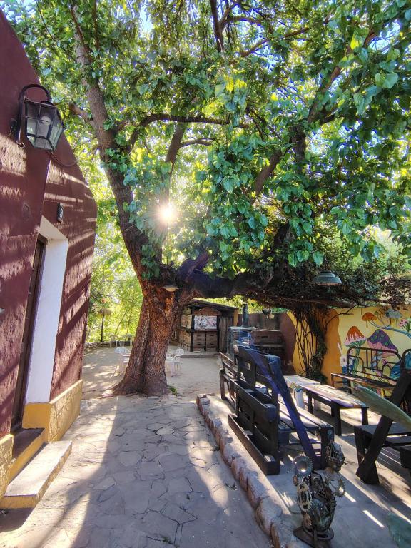 Fotografie z fotogalerie ubytování Andamundos Hostel v destinaci Mina Clavero