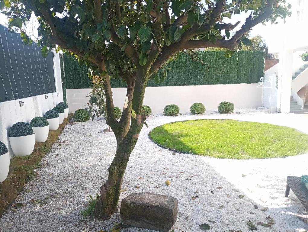 Vonkajšia záhrada v ubytovaní CASA AMELIA Apartamento Bajo con terraza y jardín Apartamento 1ªPlanta