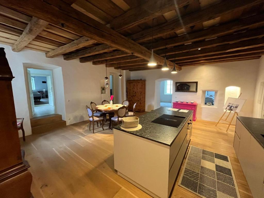 Kuchyň nebo kuchyňský kout v ubytování DAS Donauhaus