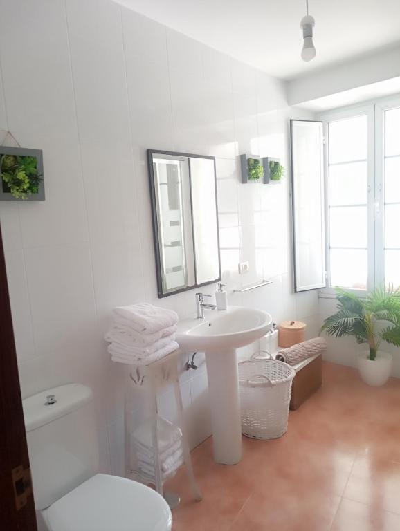 Kúpeľňa v ubytovaní CASA AMELIA Apartamento Bajo con terraza y jardín Apartamento 1ªPlanta
