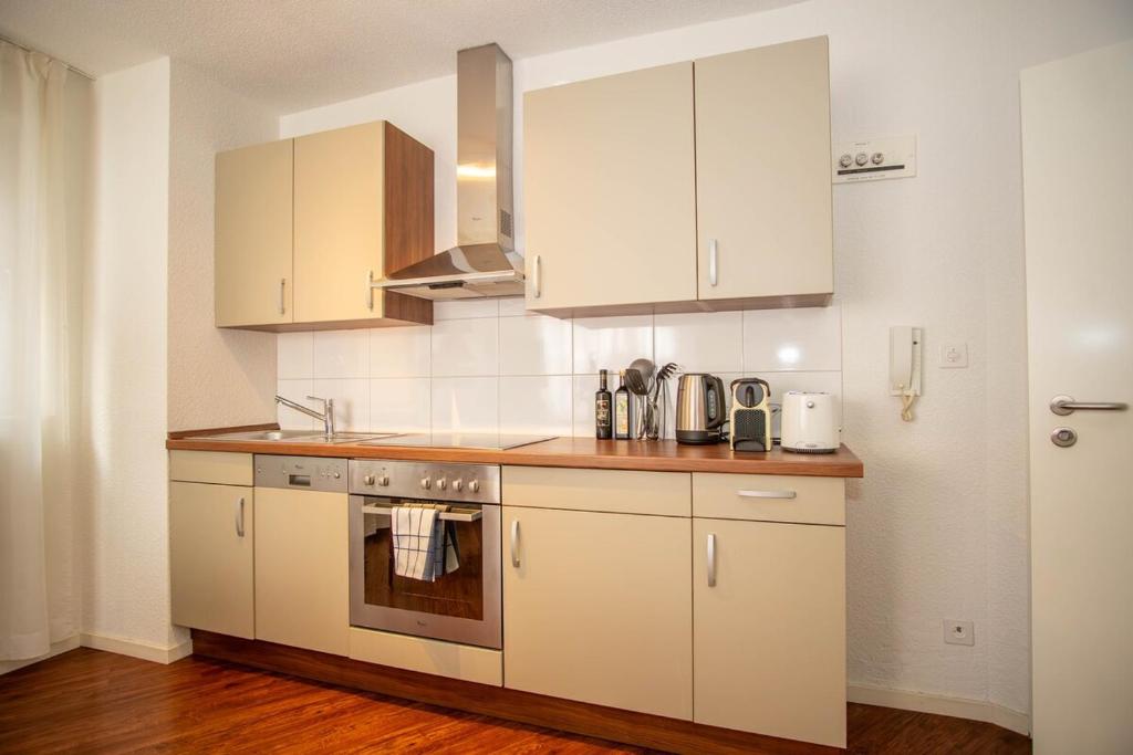 Central Studio Apartment with free BaselCard - Matisse