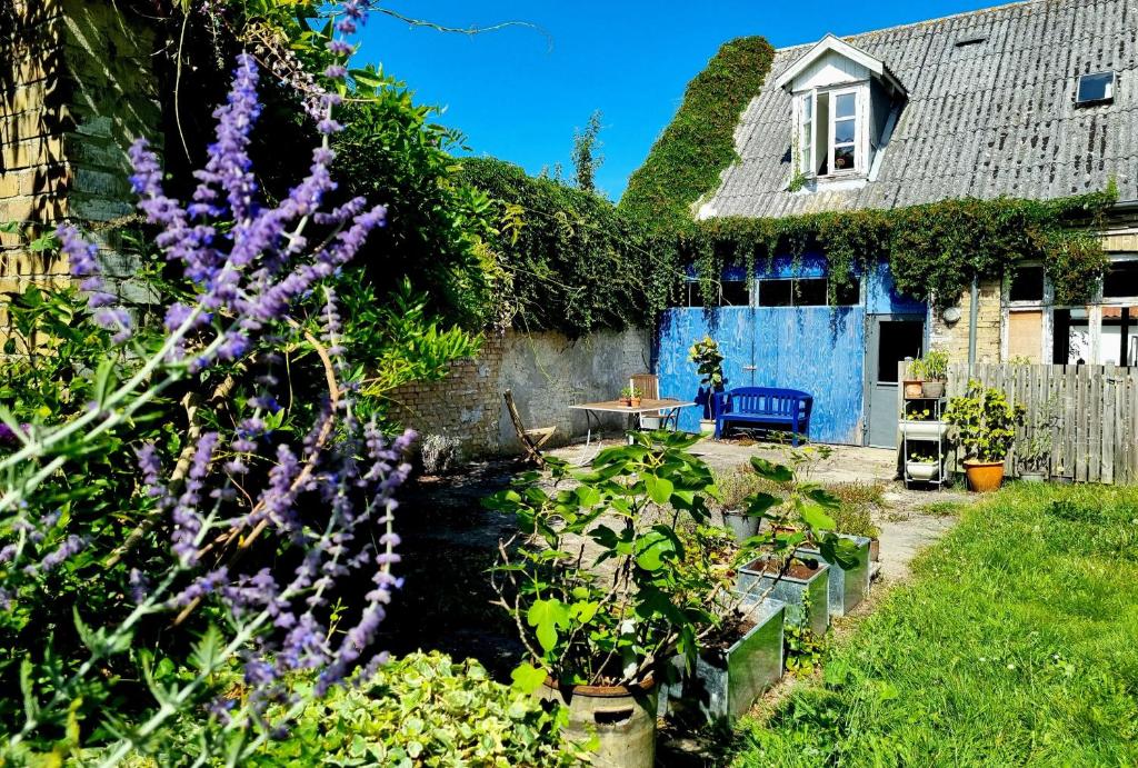 Zahrada ubytování Guesthouse Grønnegade
