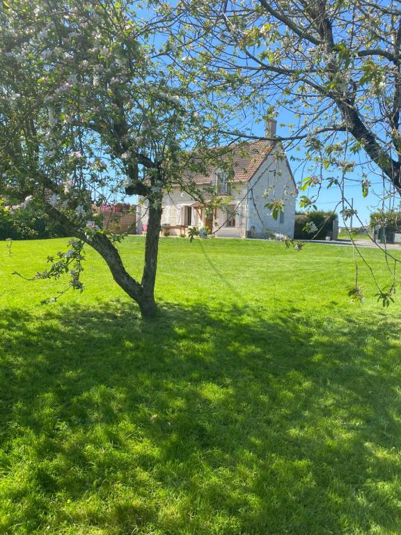 un arbre dans un champ avec une maison en arrière-plan dans l'établissement Maison spacieuses, à Faverolles