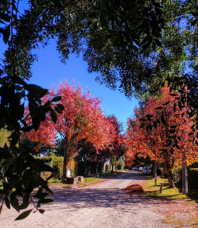 Fotografie z fotogalerie ubytování Blue Bird Flat v destinaci San Carlos de Bariloche