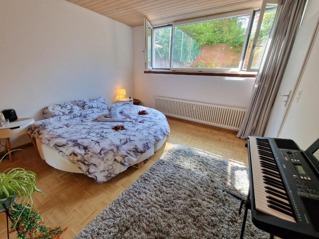 The Artistic Corner by the Rhine Wakable to Major Basel Events like Art Basel ESC and More - Resim 7