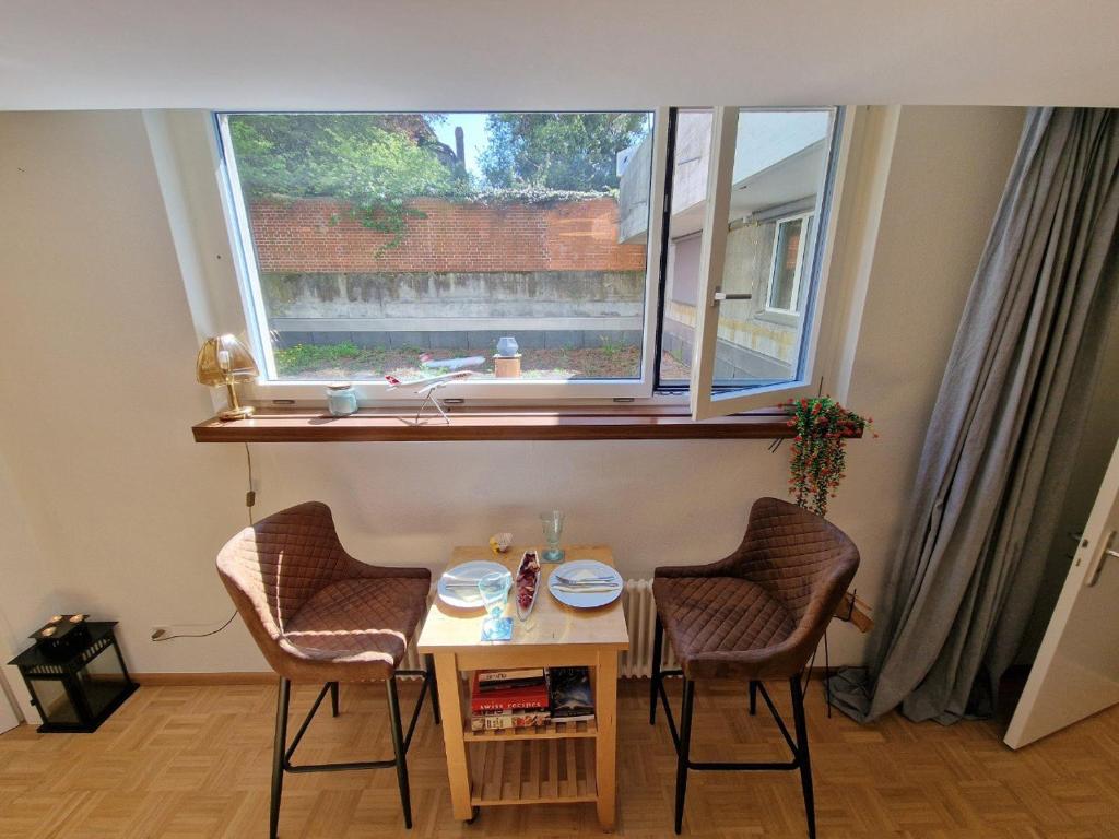 The Artistic Corner by the Rhine Wakable to Major Basel Events like Art Basel ESC and More - Resim 9