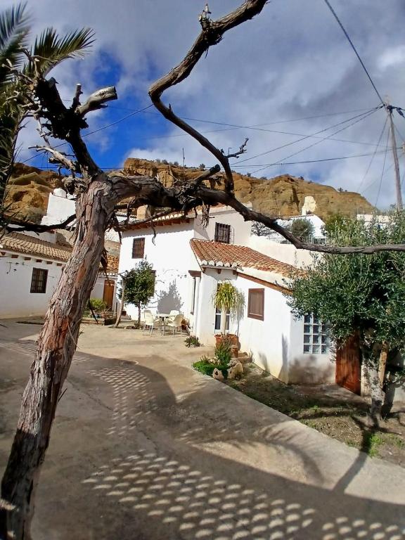 a white house with a tree in front of it at La Casita de Sandra in Paulenca