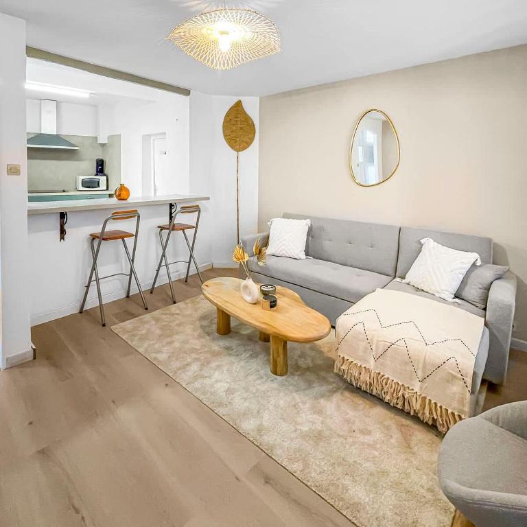 un salon avec un canapé et une table basse dans l'établissement Le Balcon de Carcassonne, à Carcassonne