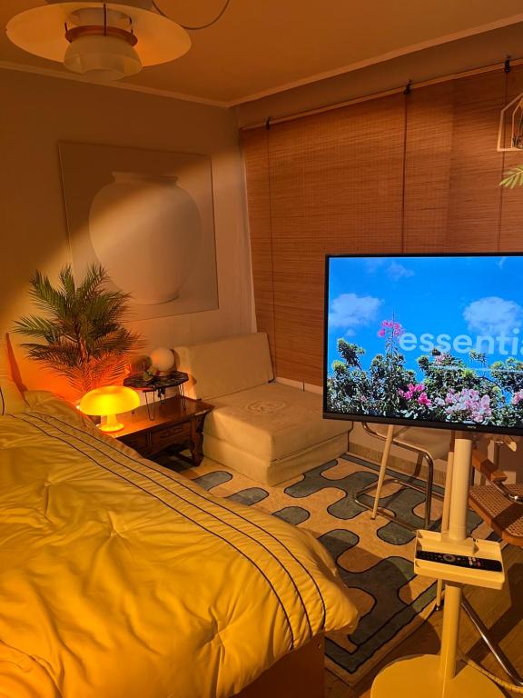 TV a/nebo společenská místnost v ubytování Lucy Aunt House