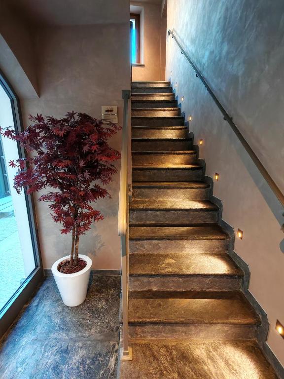 Le Reve Charmant Apartments - Via De L ostan, 18 - 14